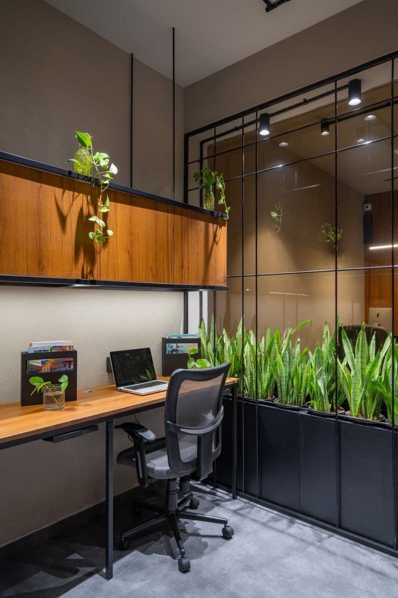 Home and Office Indoor Plantation