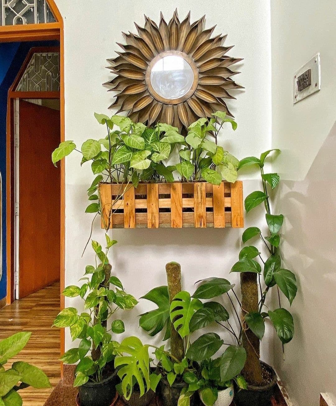 Home and Office Indoor Plantation