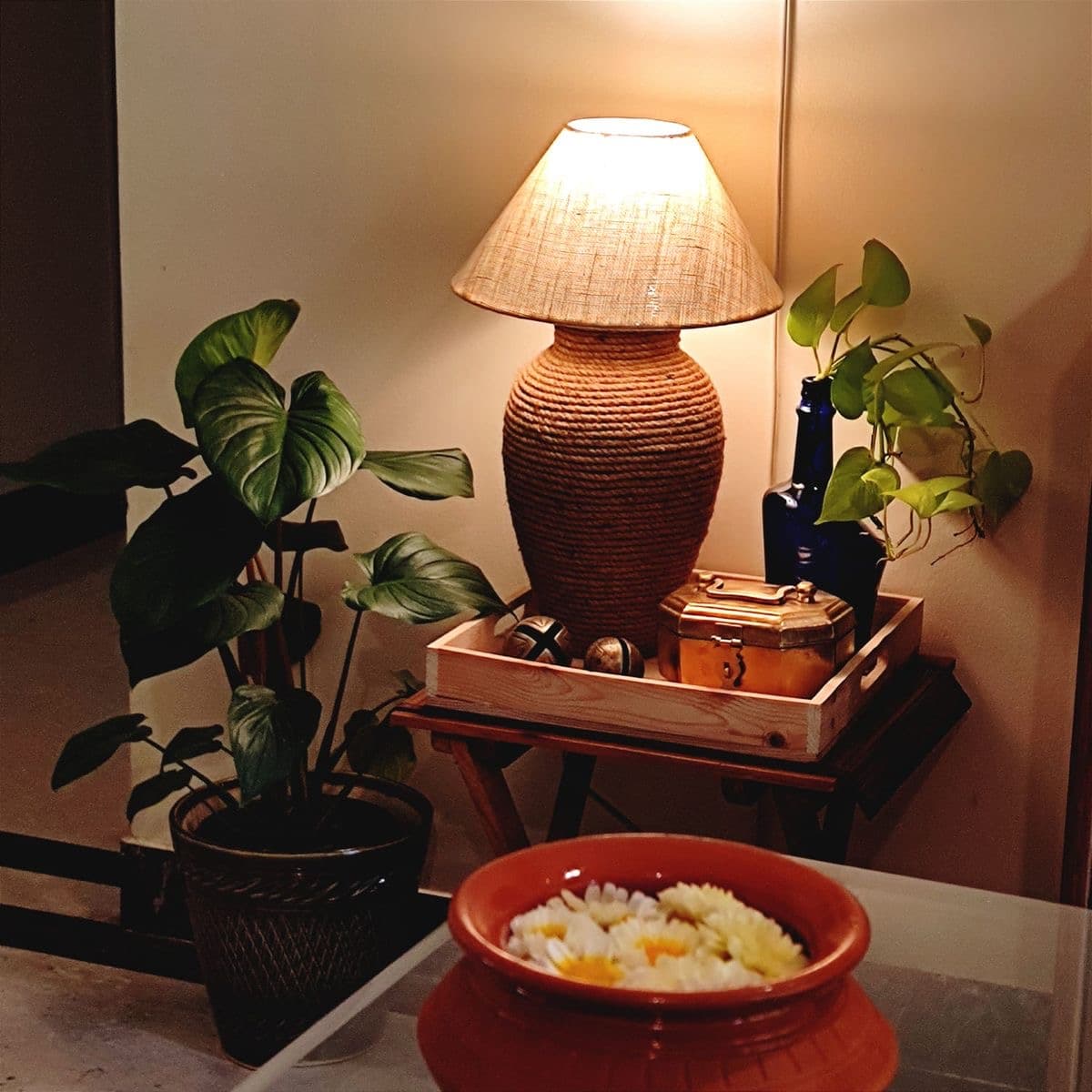 Home and Office Indoor Plantation