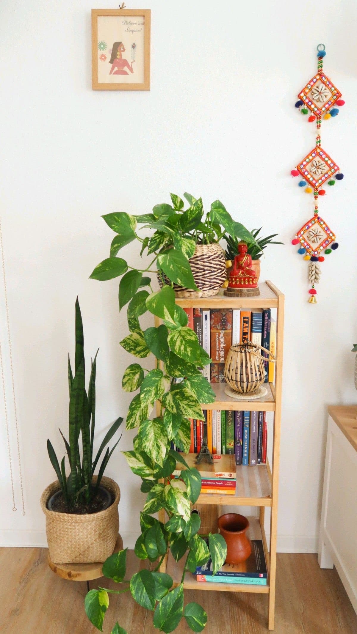 Home and Office Indoor Plantation