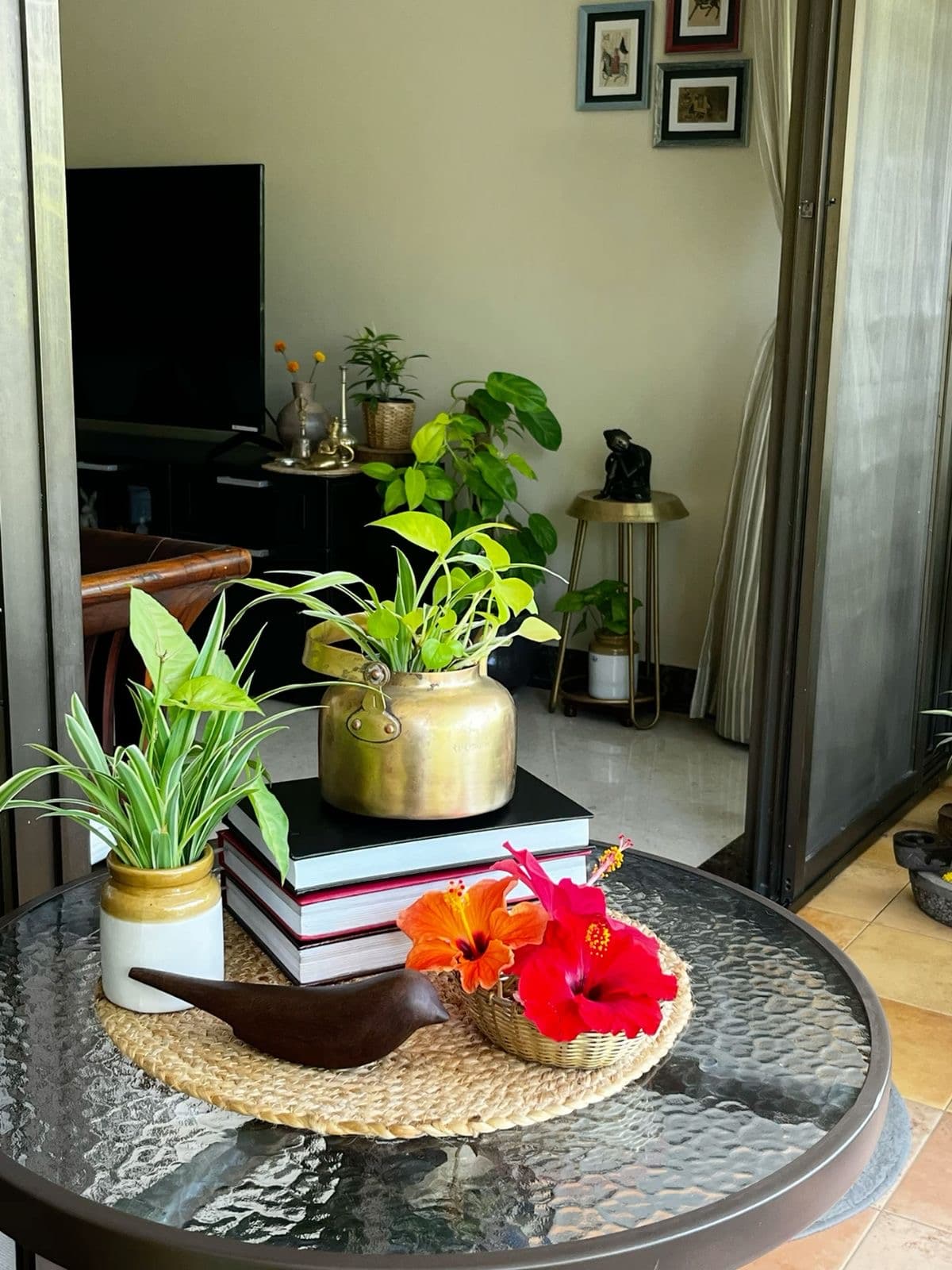 Home and Office Indoor Plantation