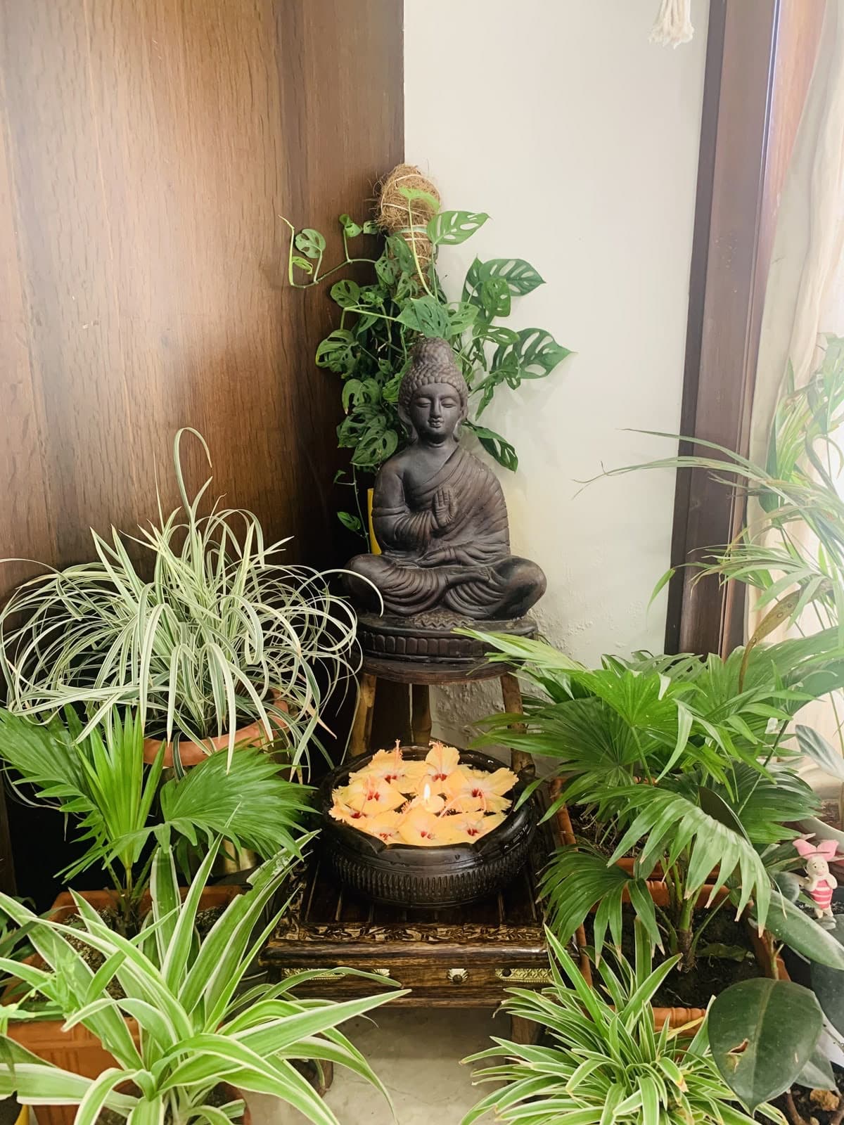 Home and Office Indoor Plantation