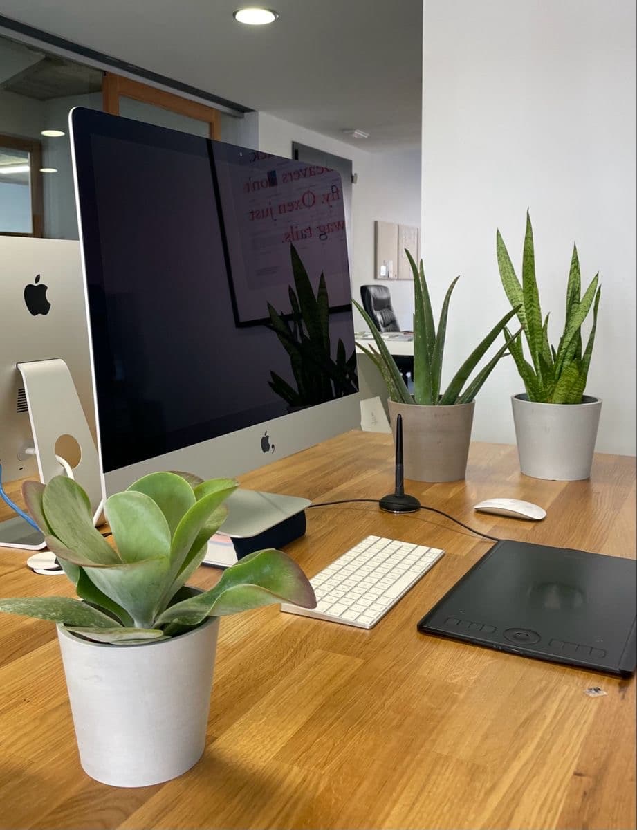 Home and Office Indoor Plantation