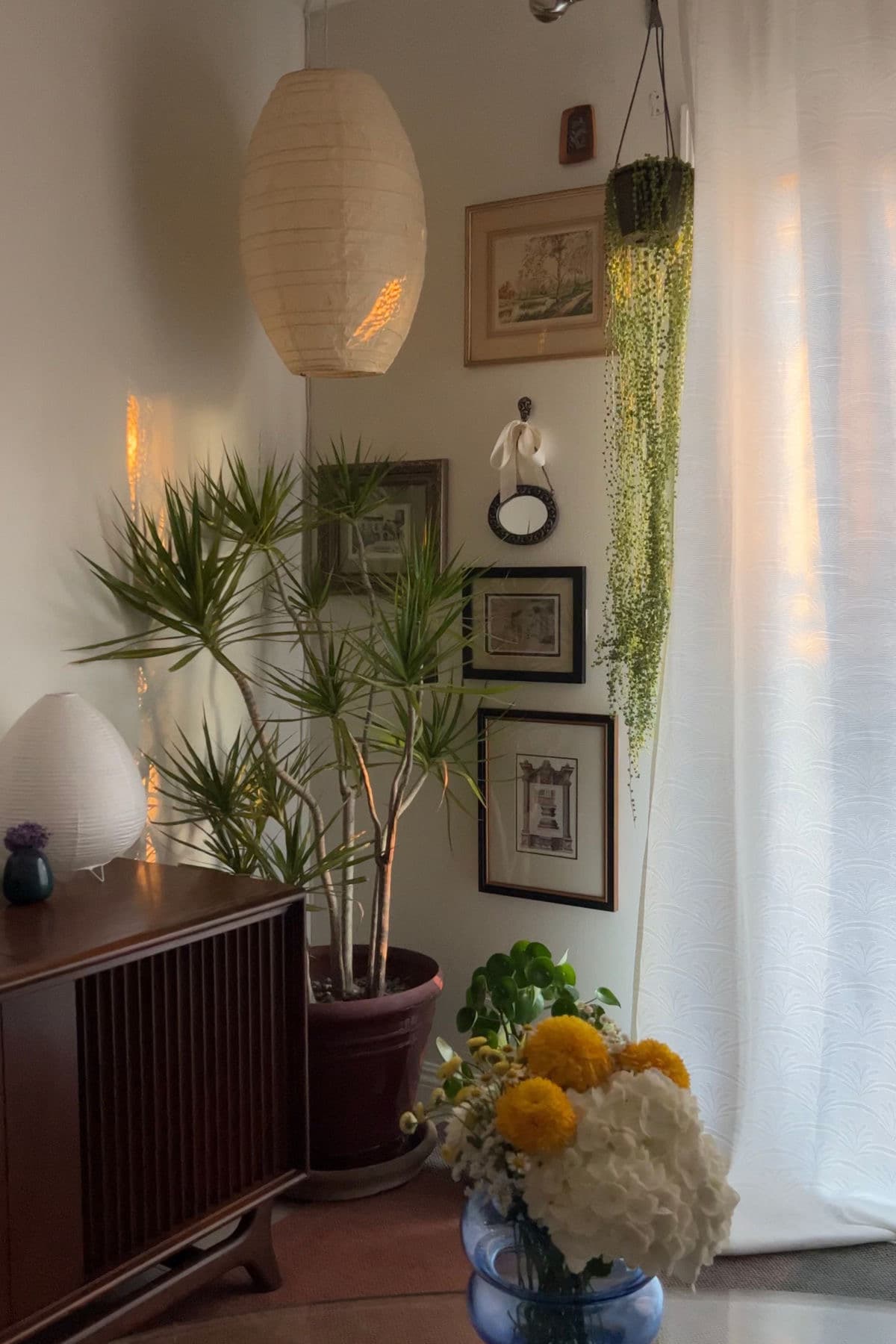 Home and Office Indoor Plantation