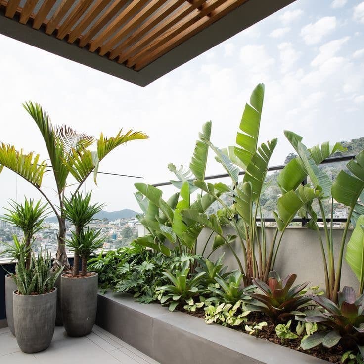 Terrace and Balcony Gardening