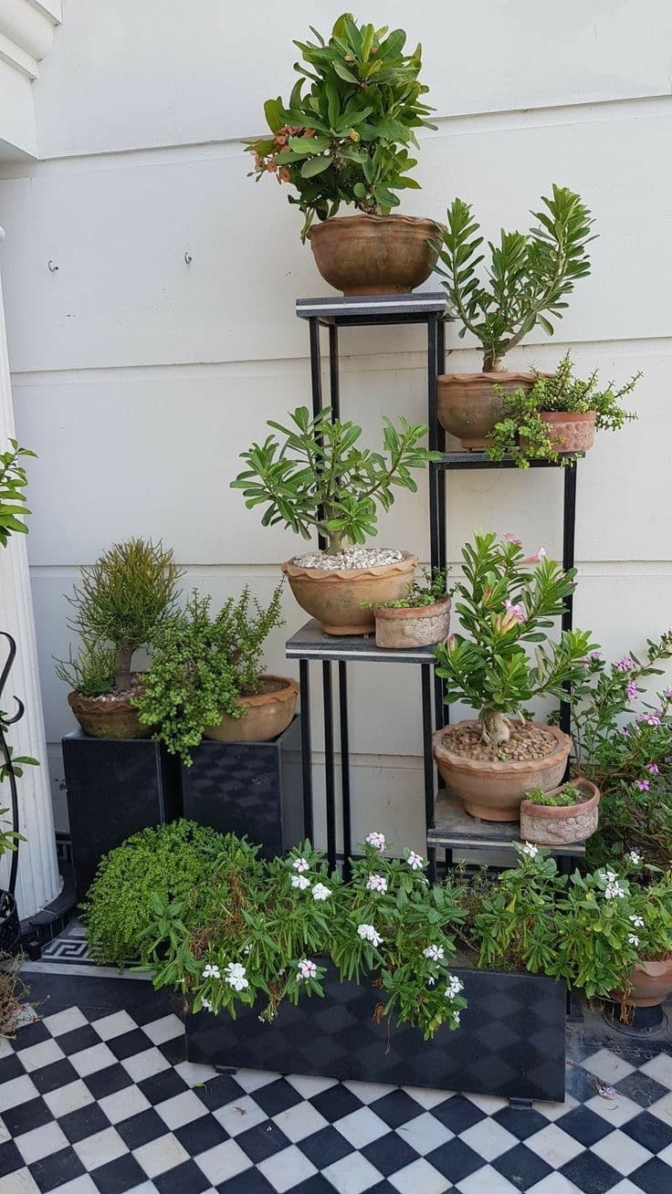 Terrace and Balcony Gardening