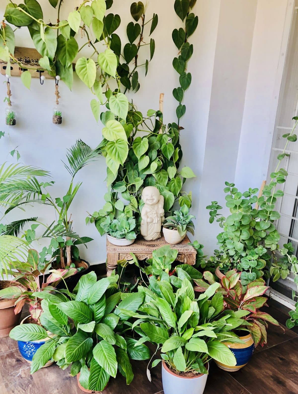 Terrace and Balcony Gardening
