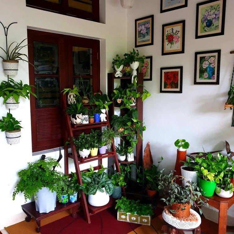 Terrace and Balcony Gardening