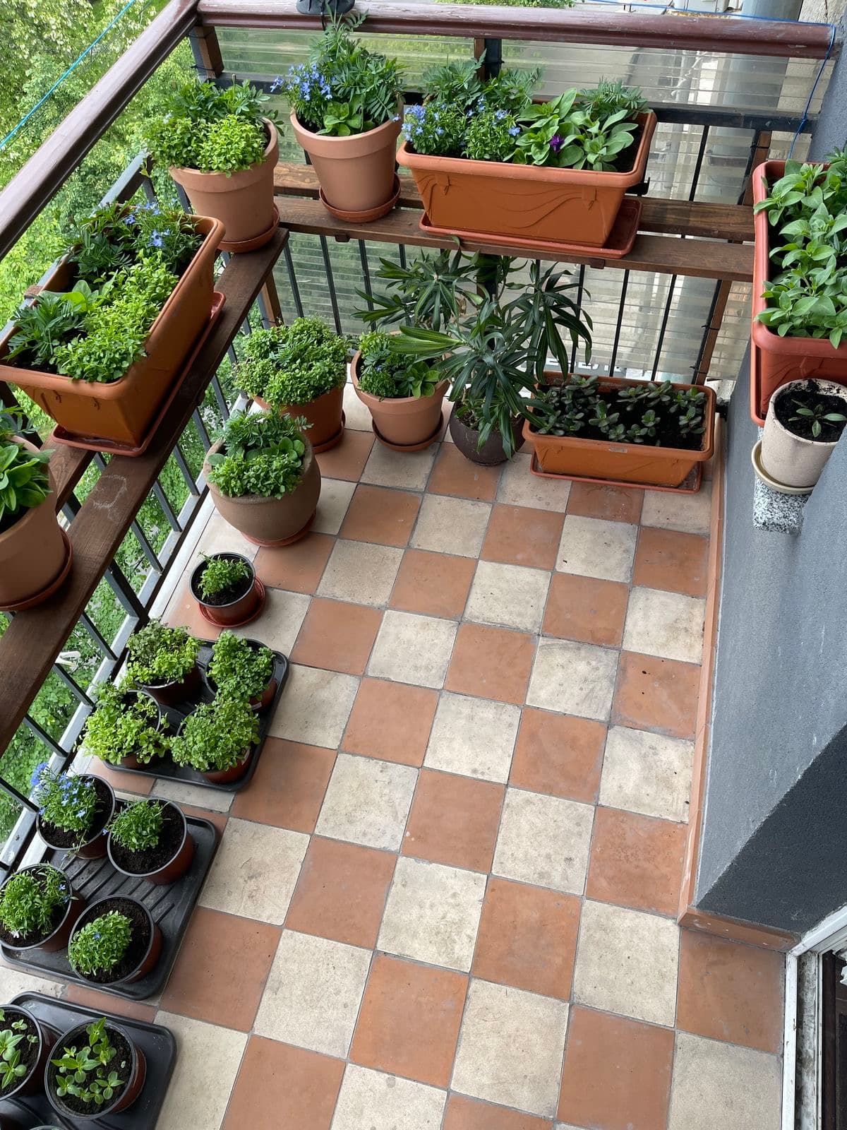 Terrace and Balcony Gardening