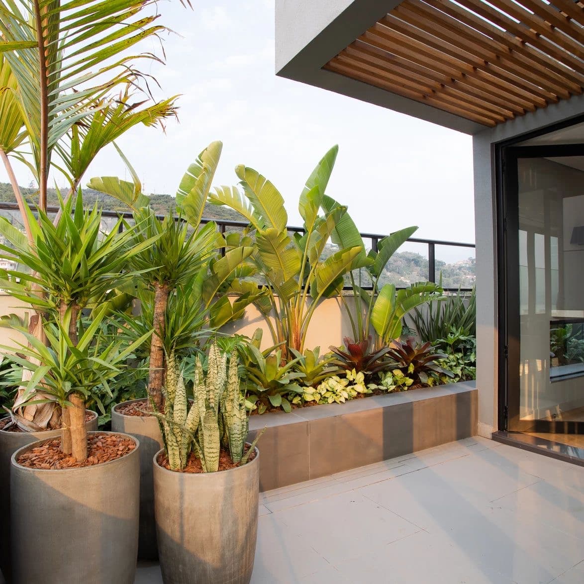 Terrace and Balcony Gardening