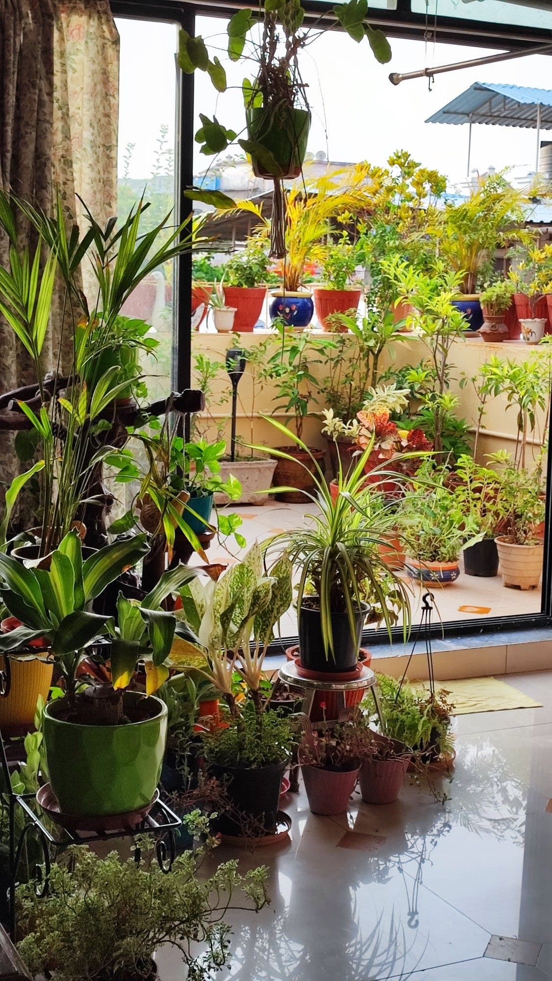 Terrace and Balcony Gardening