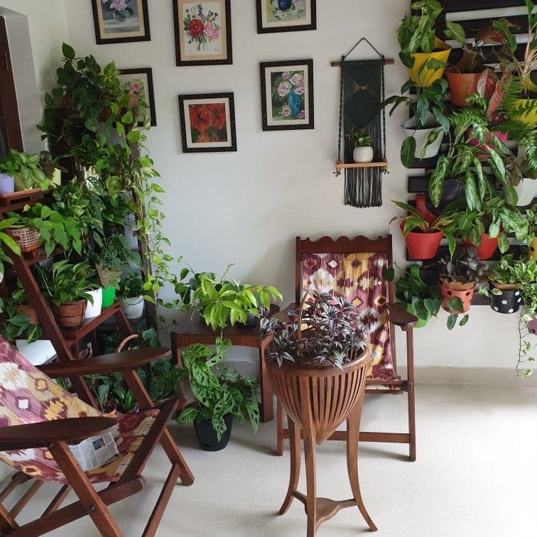 Terrace and Balcony Gardening