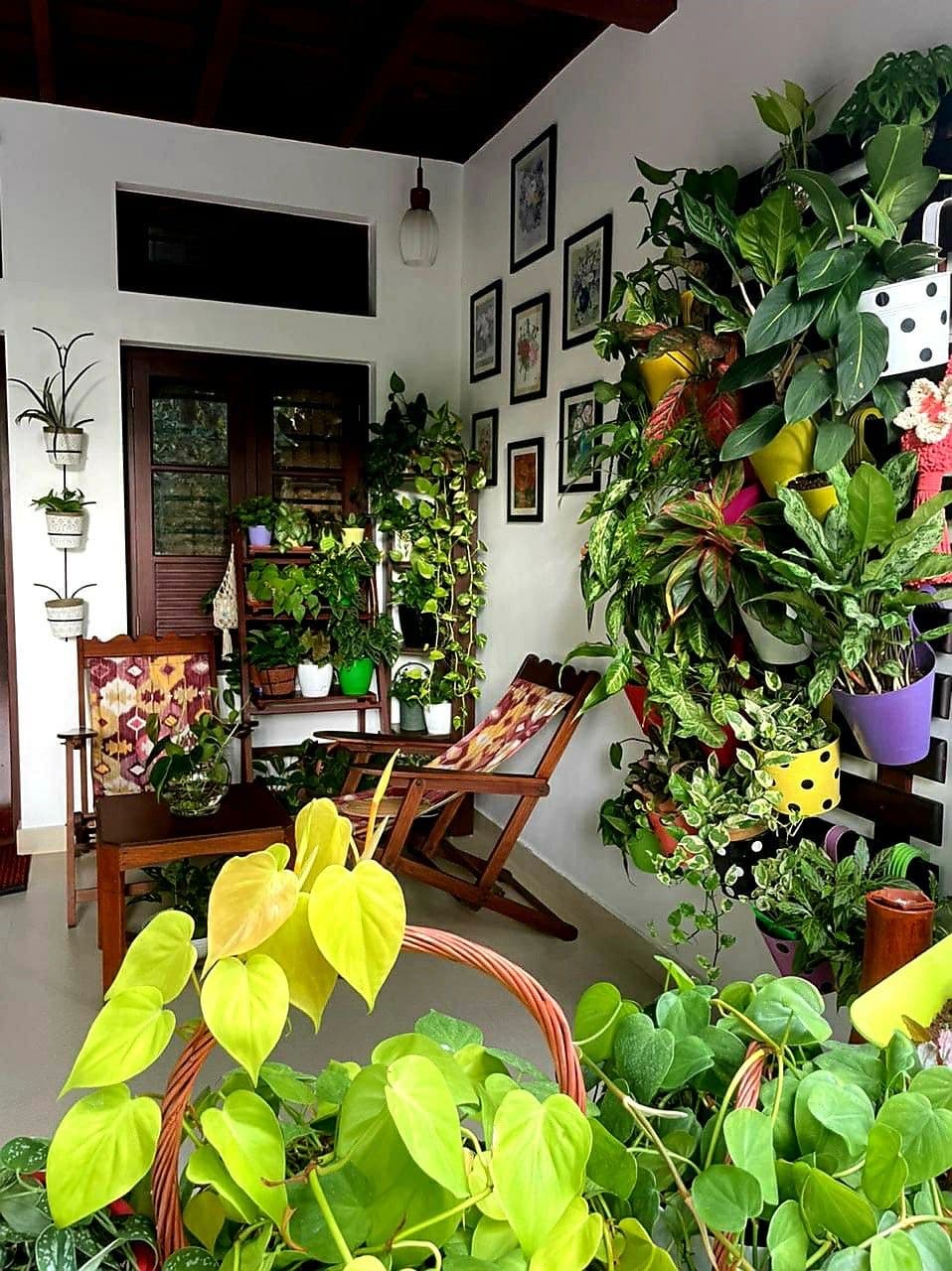 Terrace and Balcony Gardening