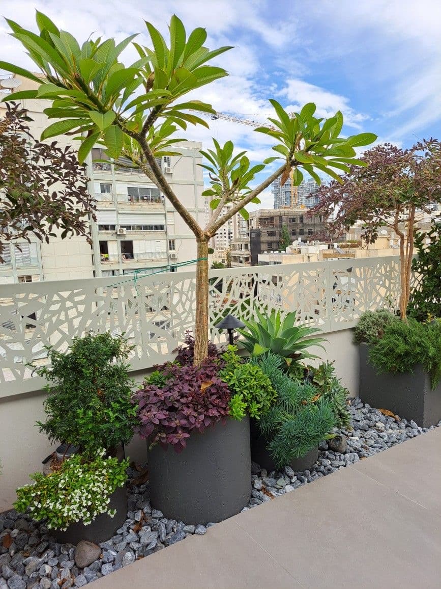 Terrace and Balcony Gardening