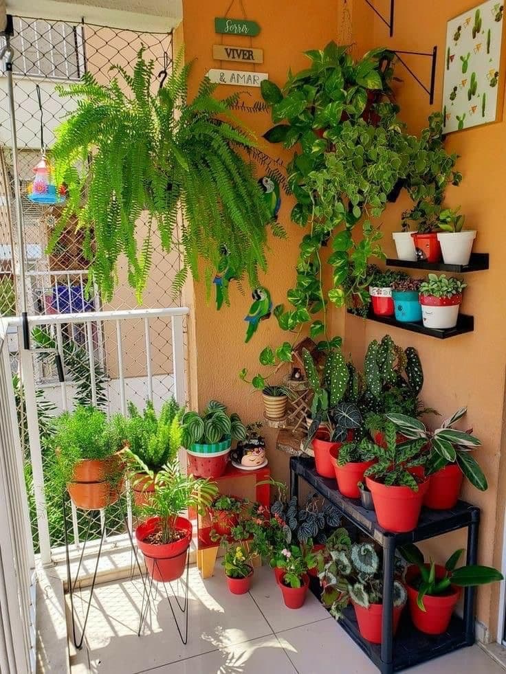 Terrace and Balcony Gardening
