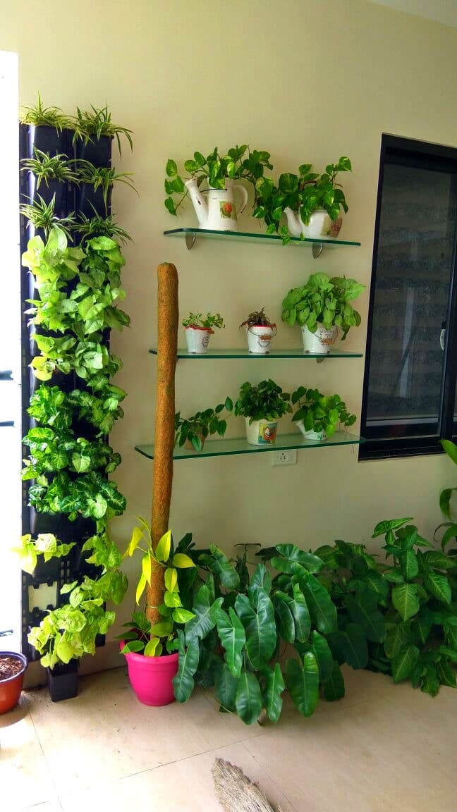 Terrace and Balcony Gardening