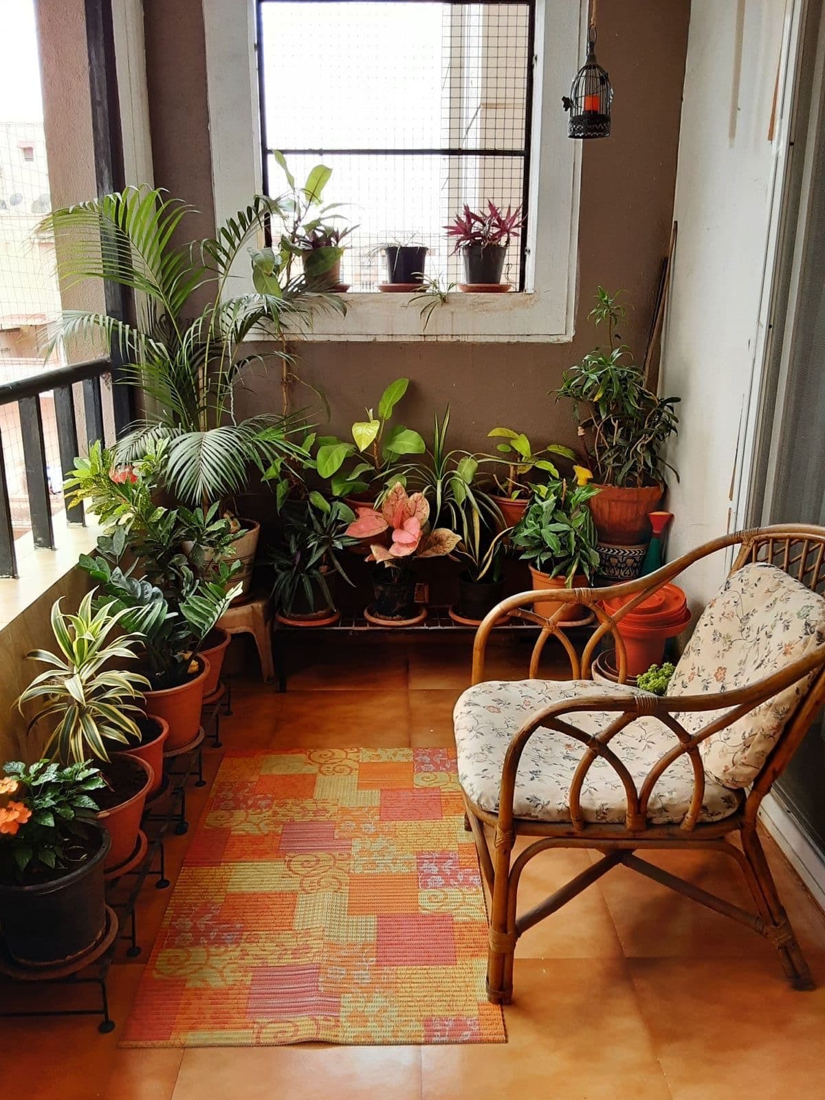 Terrace and Balcony Gardening