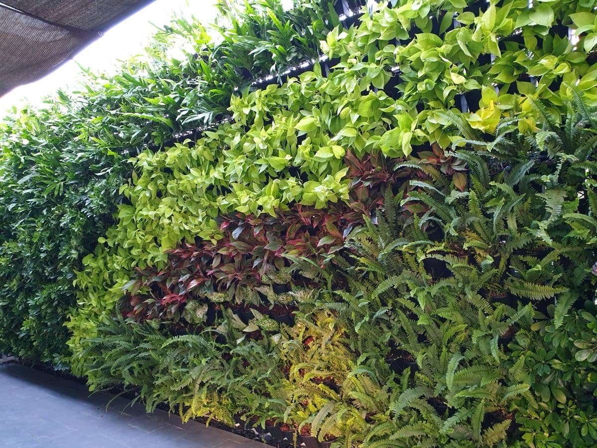 Vertical Garden
