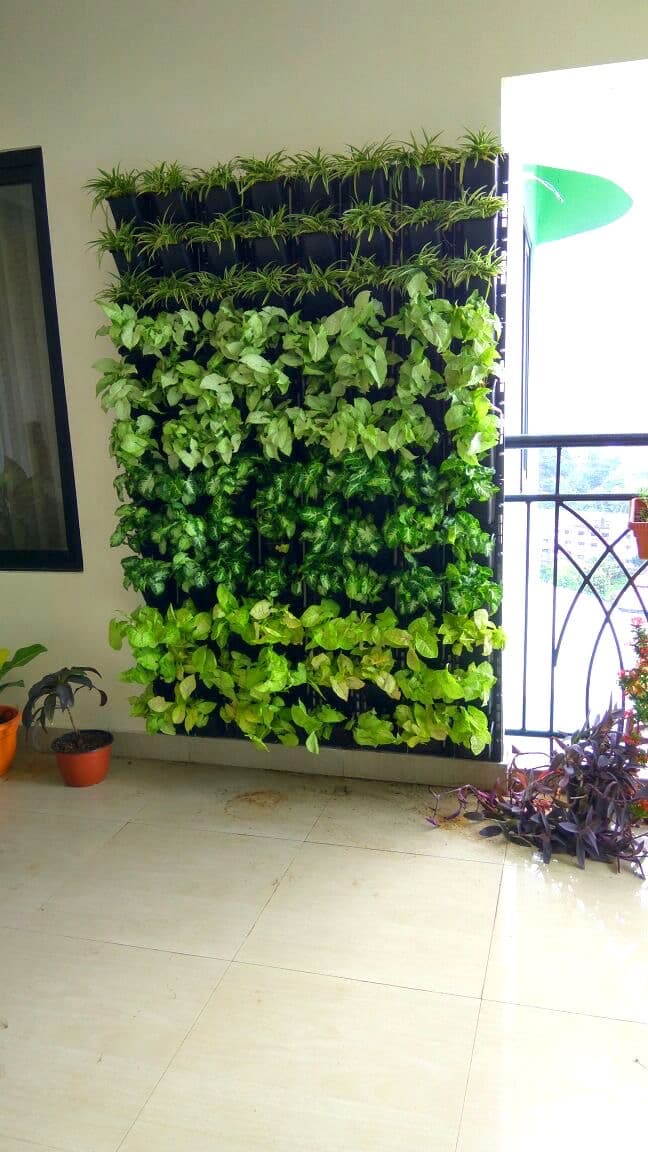 Vertical Garden