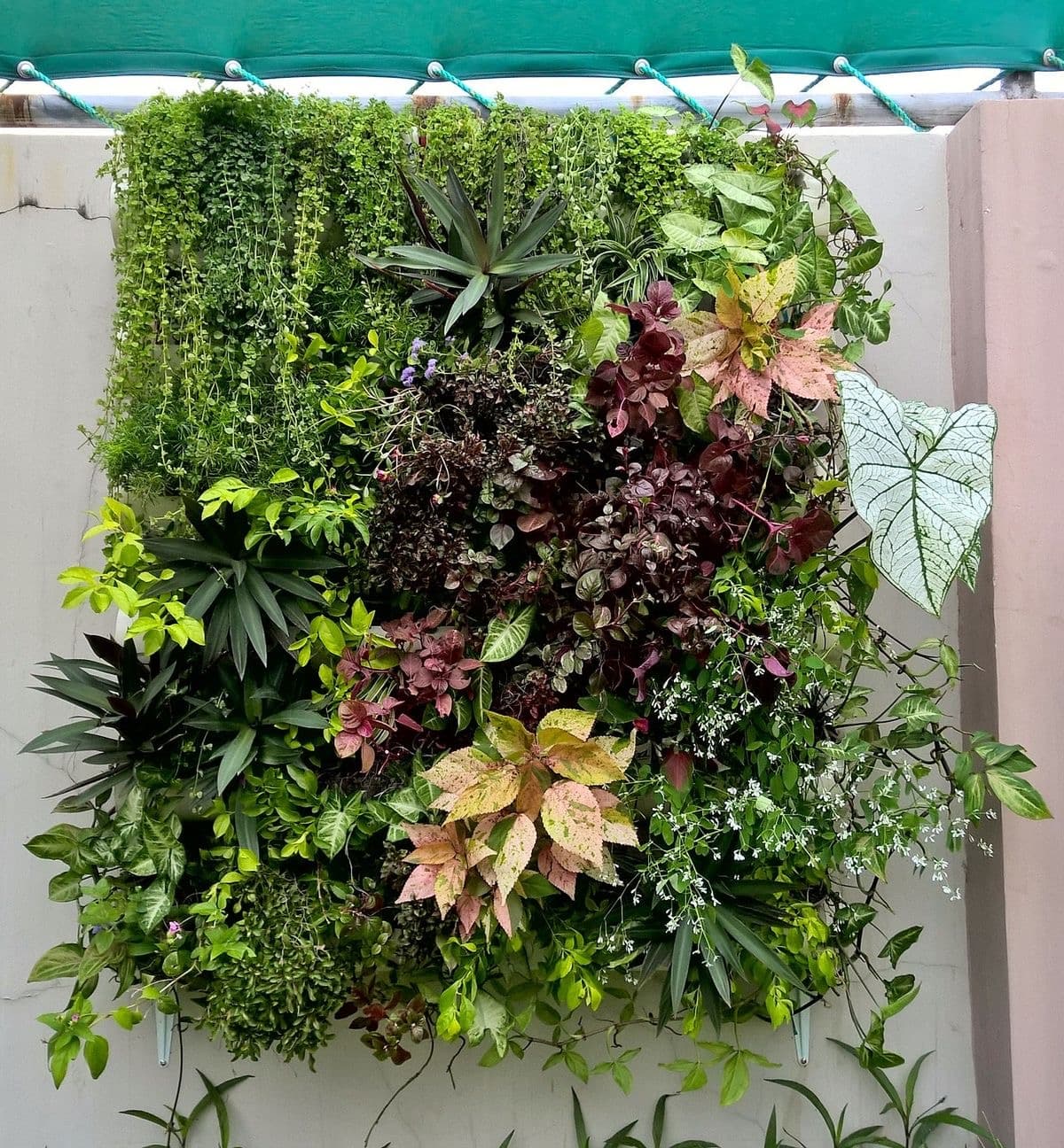 Vertical Garden