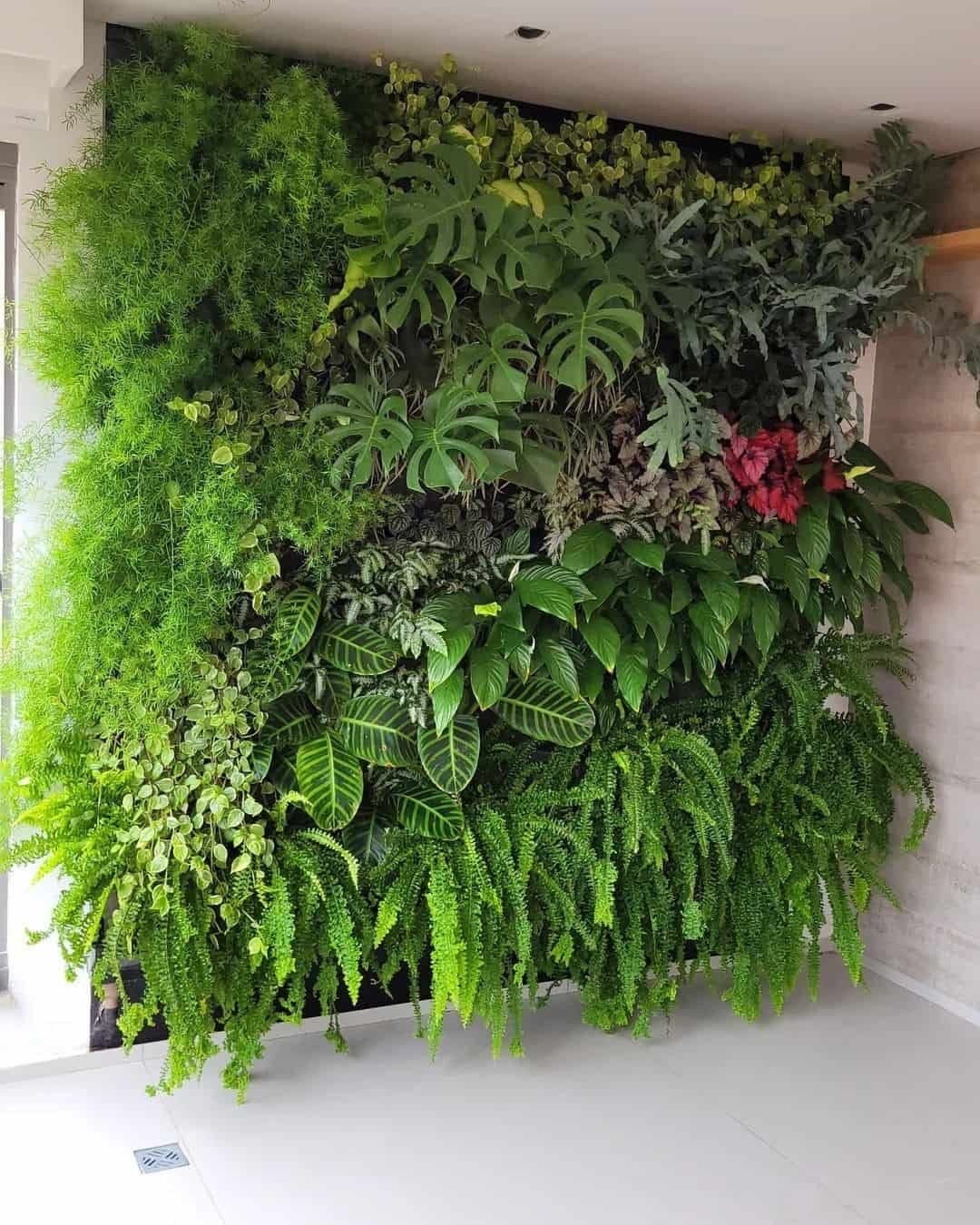Vertical Garden