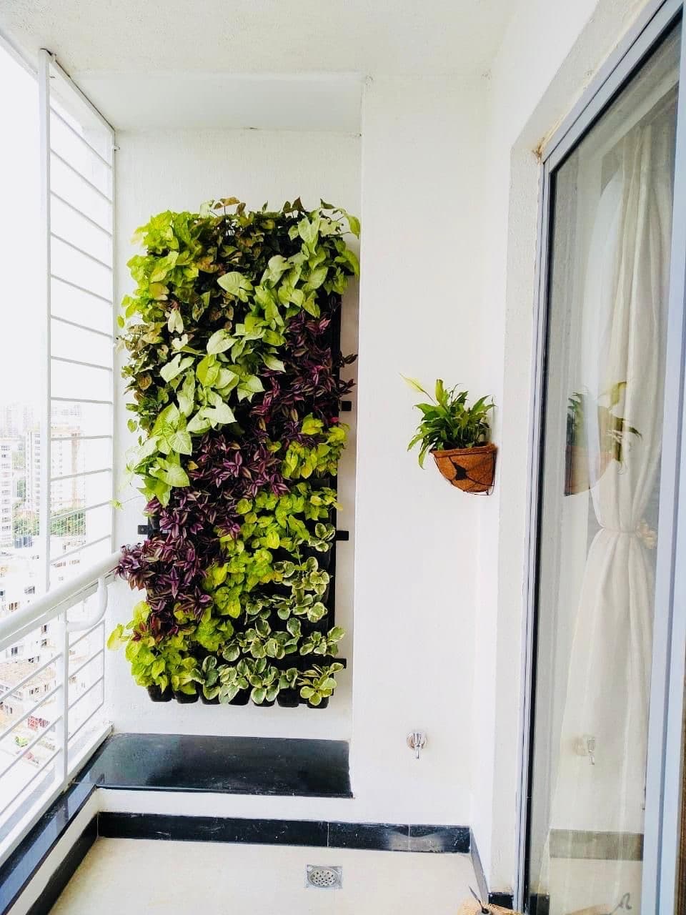 Vertical Garden