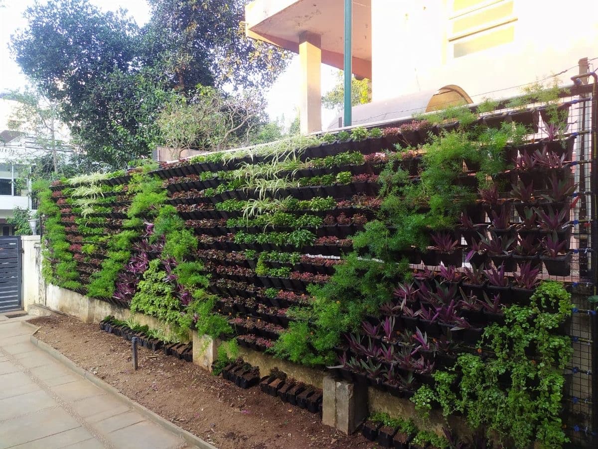 Vertical Garden